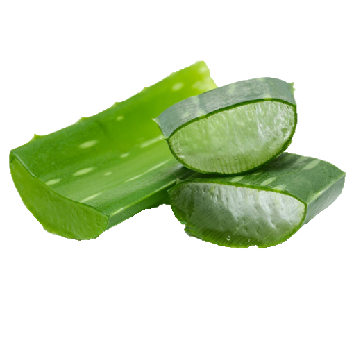 Picture of Aloe Vera - Each
