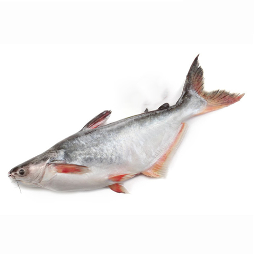 Picture of Pangash - 1 kg