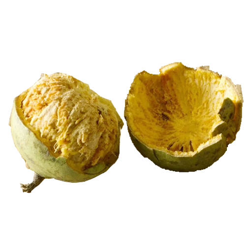 Picture of Wood Apple (Bel) - per pc