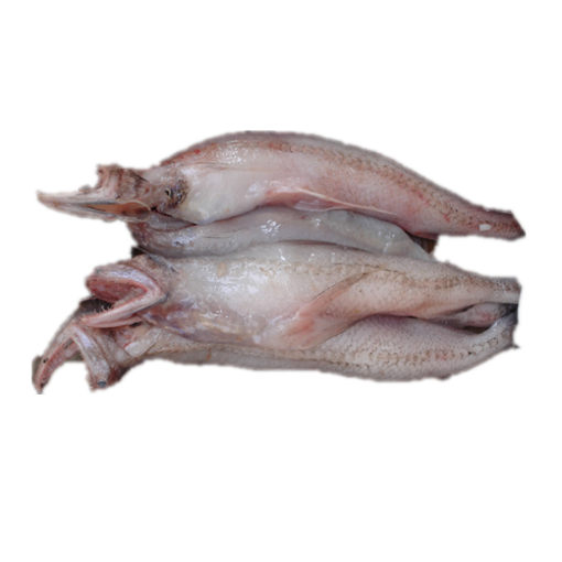 লইট্টা মাছ - ২ কেজি এর ছবি