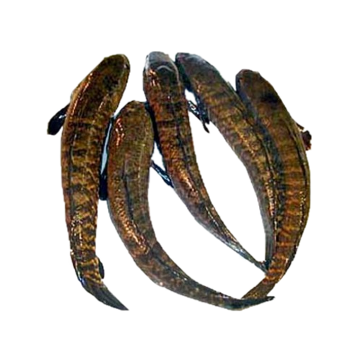Picture of Taki Fish (10 - 12 pcs) – 1 kg