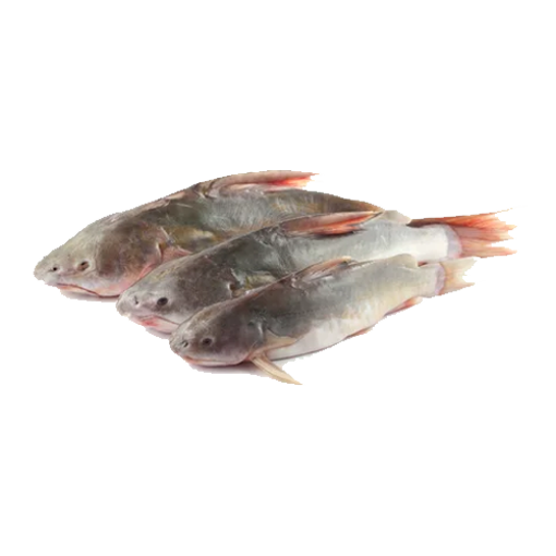 Picture of River Rita (3-4 pcs) - 1 kg