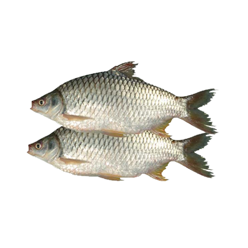 Picture of Deshi Shor Puti (10-15 pcs) - 1 kg
