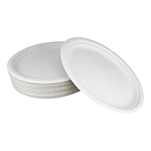 Picture of One Time Plastic Plate - 100 pcs